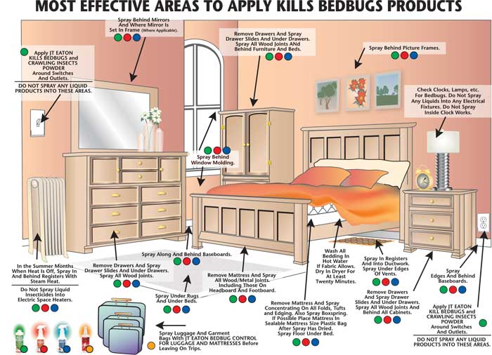 Most Effective Areas to Apply Kills Bedbugs Products